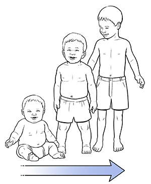 Chubby six-month-old baby. Chubby 12 to 18-month-old baby. Lean 3-year-old toddler. Arrow shows baby developing into lean toddler.